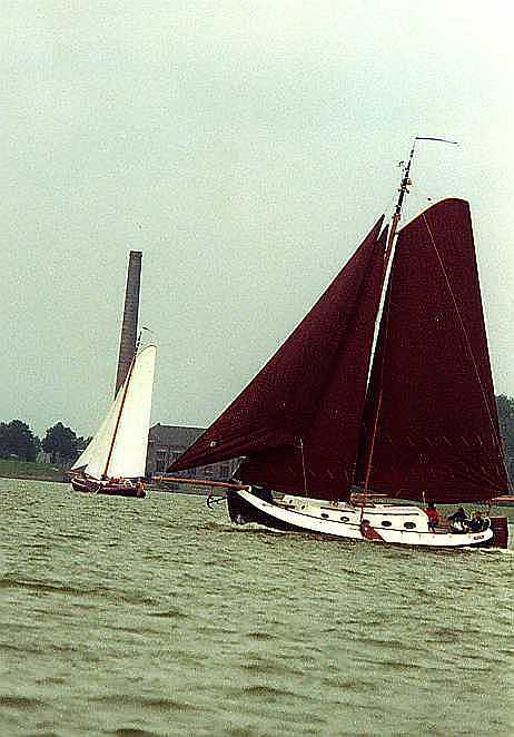 foto: 22 Blom Lemsteraak 12.10 Roefaak