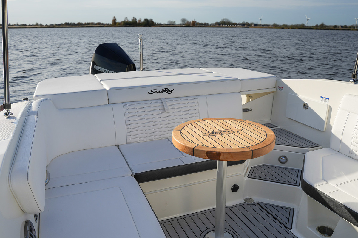 foto: 55 Sea Ray SPX 230 Outboard
