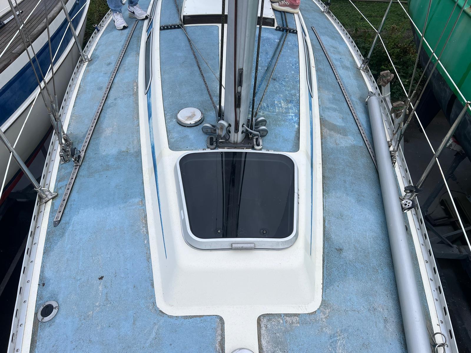 foto: 4 Fly 34 Mosquito 104