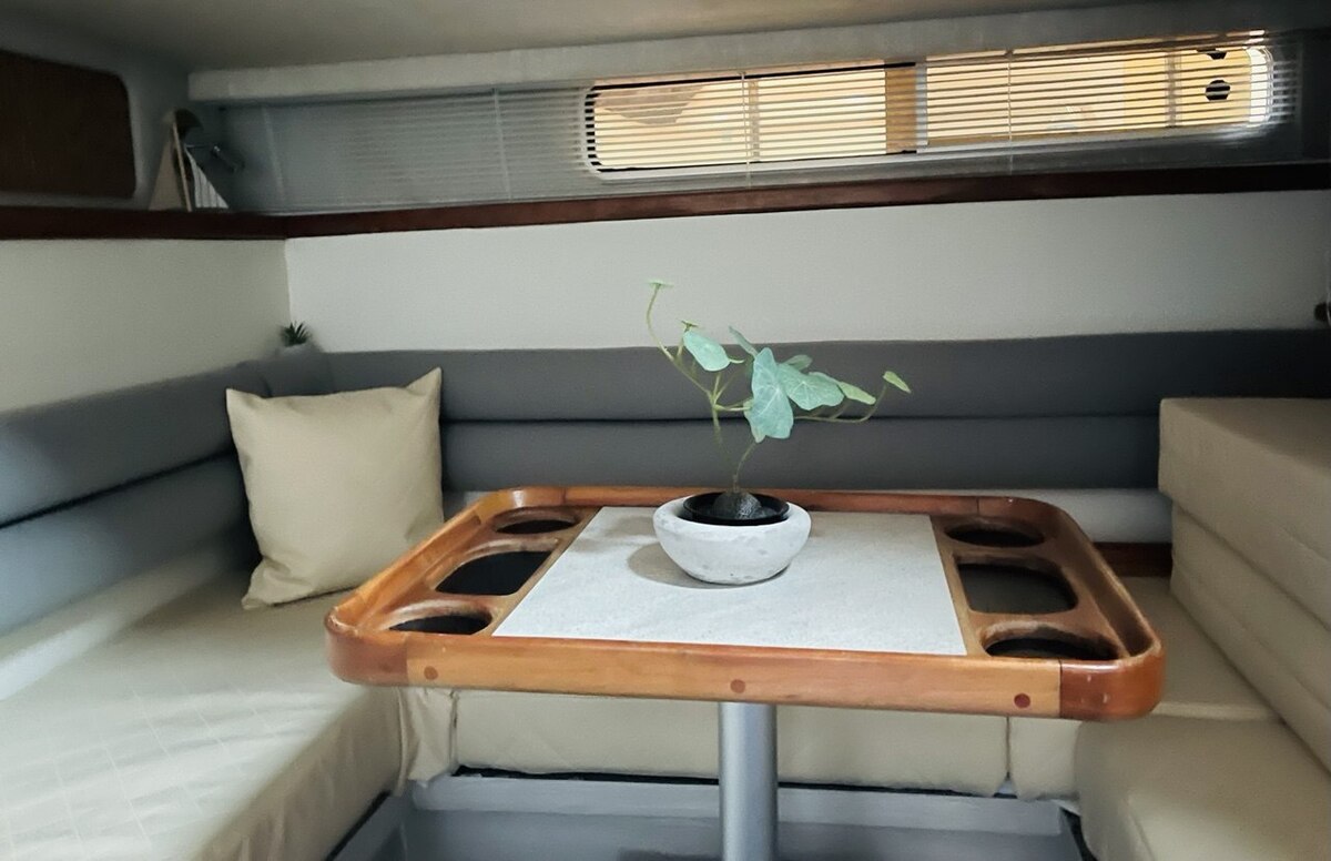 foto: 30 Sea Ray 310 Sundancer 