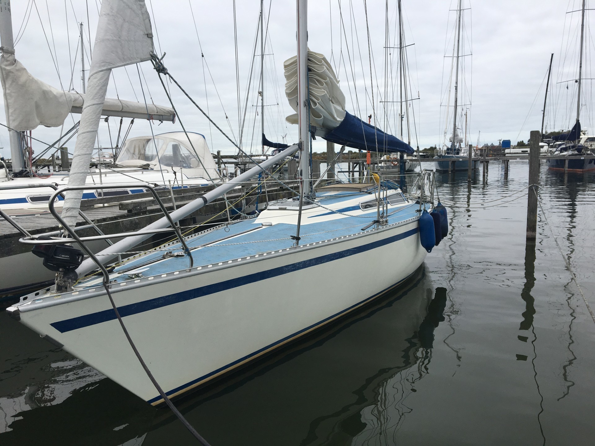 foto: 14 Fly 34 Mosquito 104