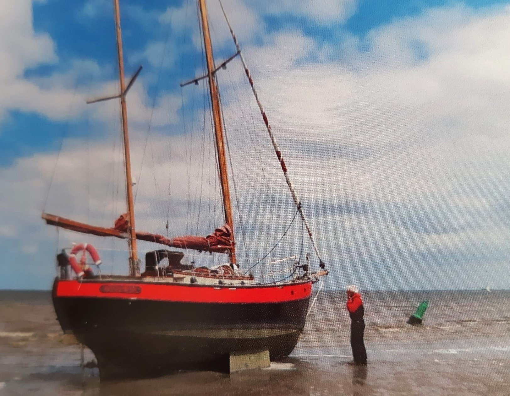 foto: 23 Danish Rose 31
