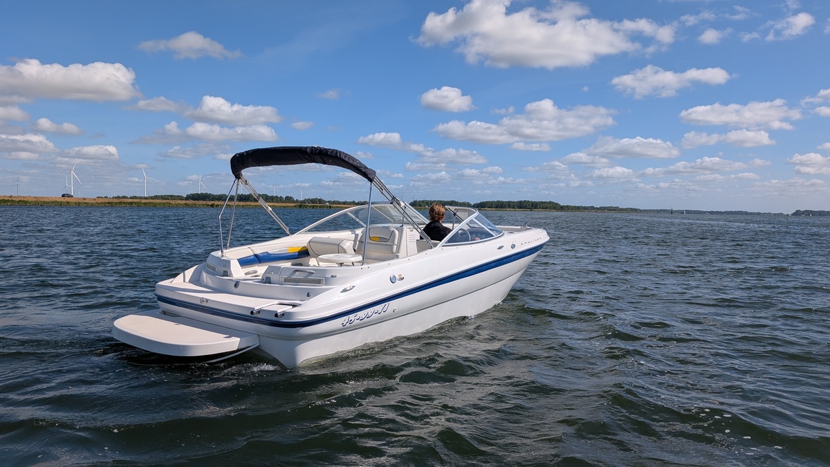 foto: 22 Bayliner 219 SD