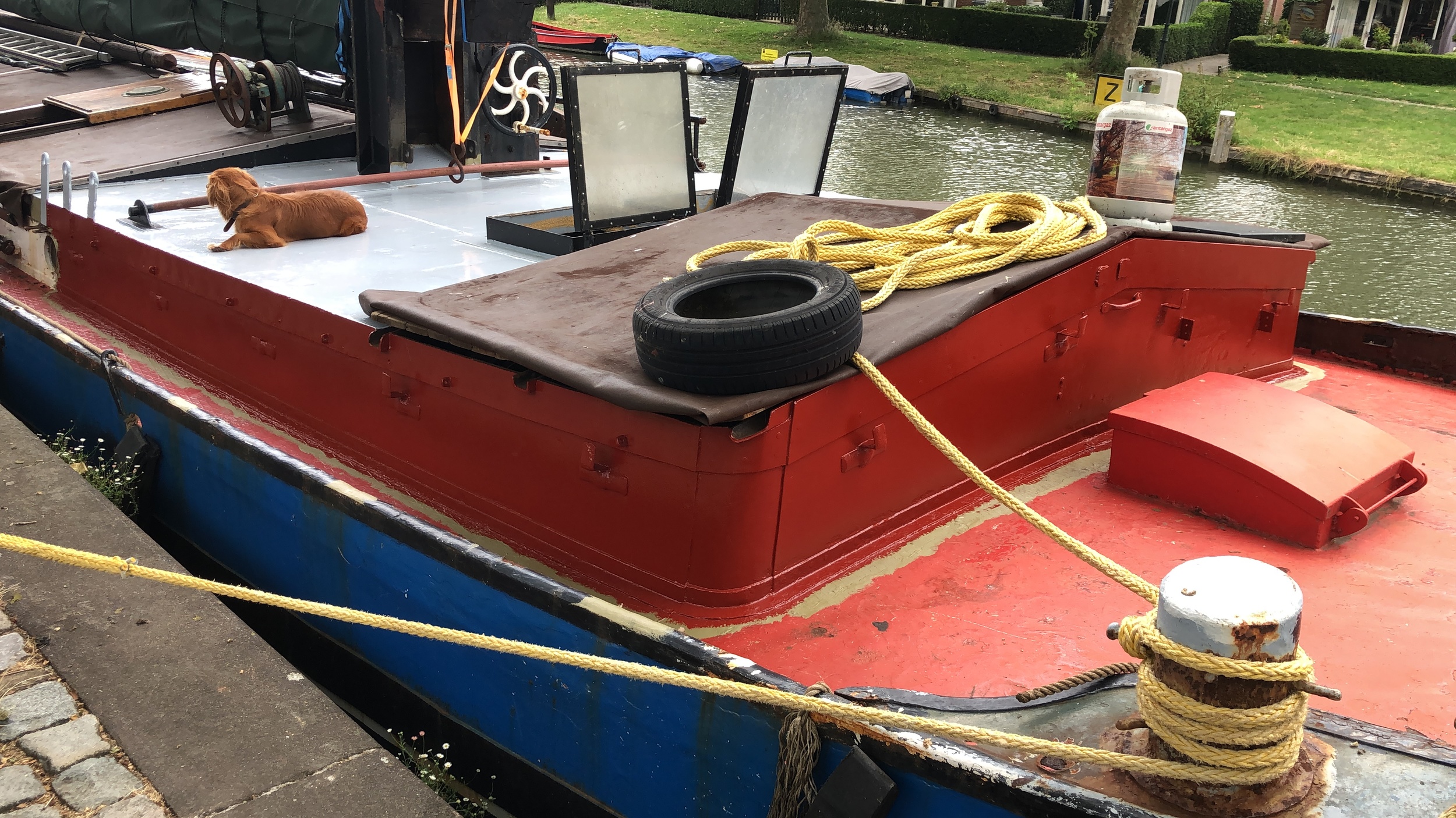 foto: 80 Hagenaar 25.15