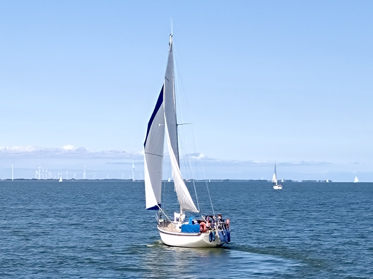 foto: 40 Tradewind 33