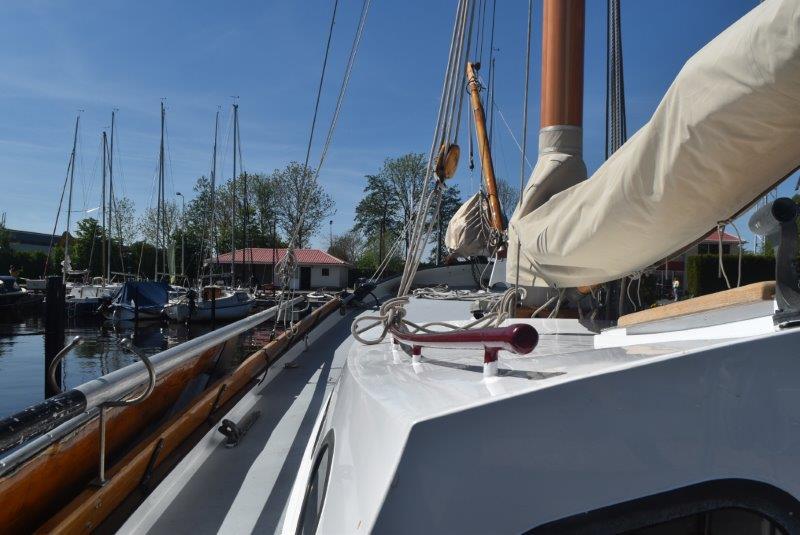 foto: 43 Blom Lemsteraak 10.10