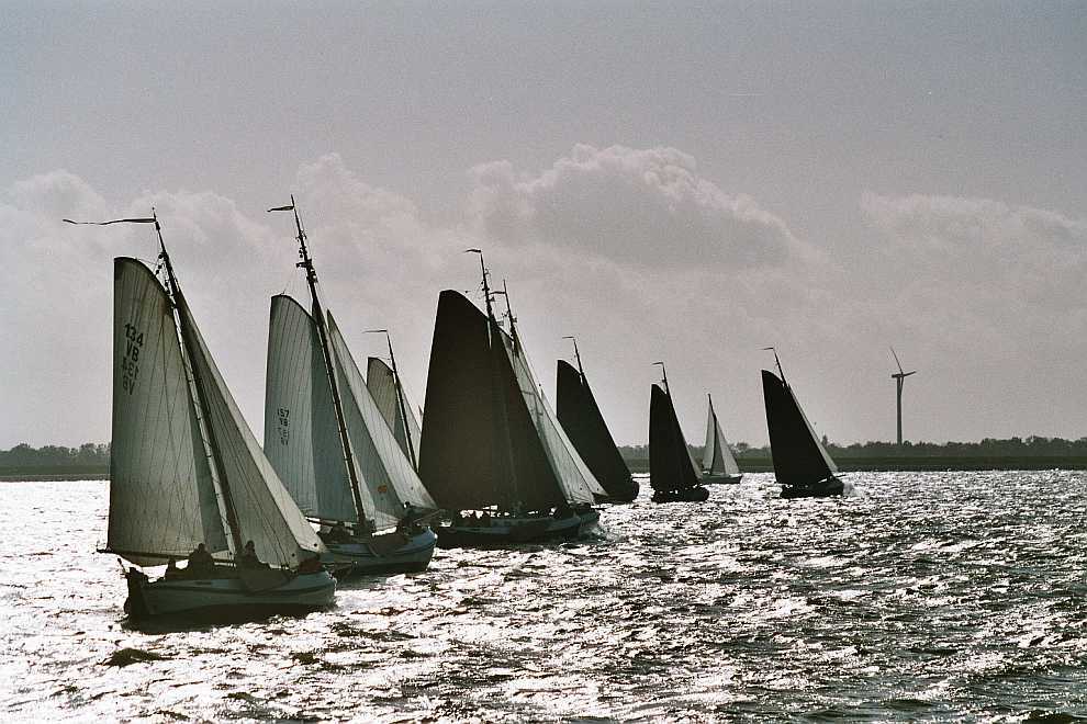 foto: 24 Blom Lemsteraak 12.10 Roefaak