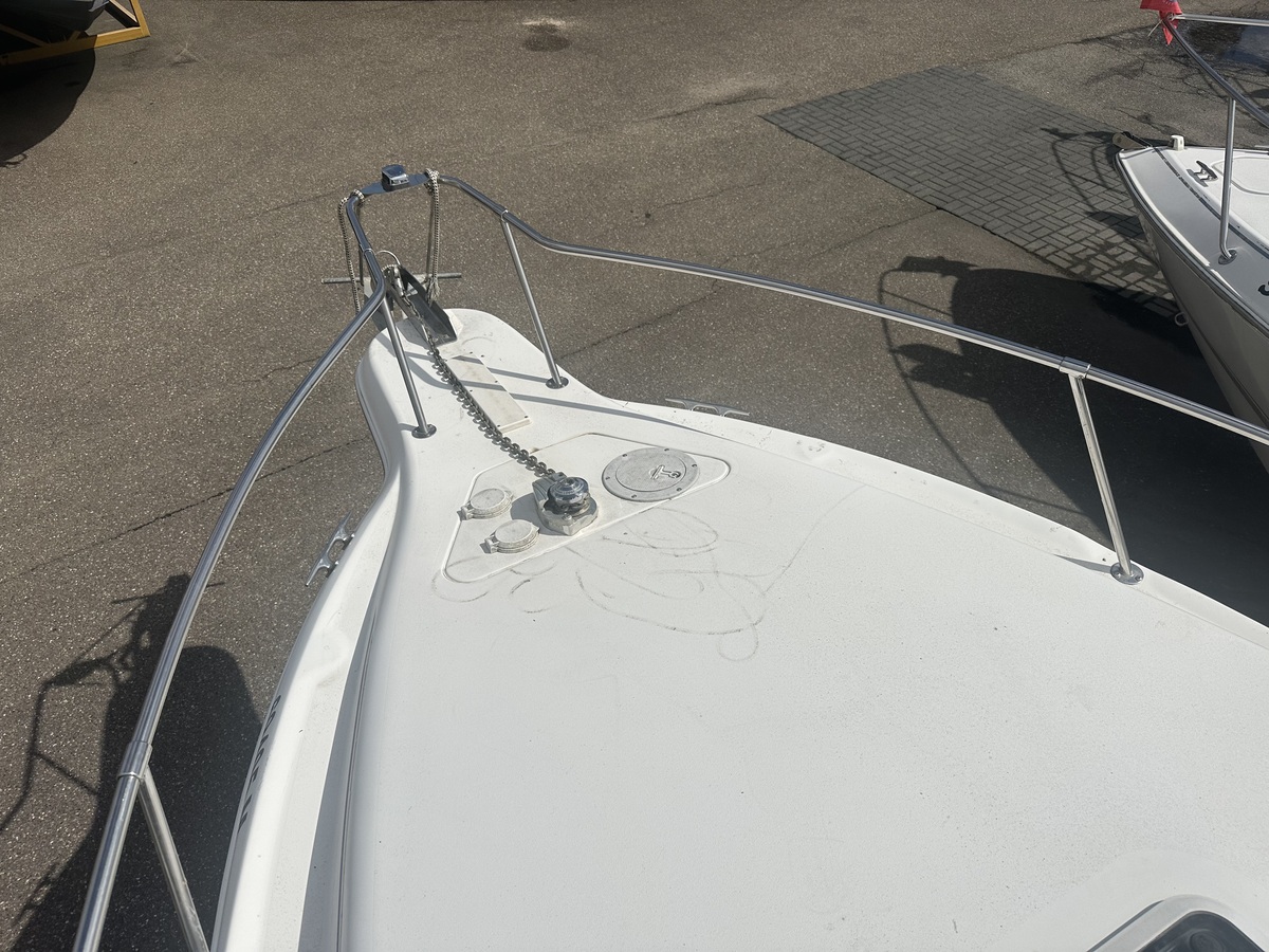 foto: 11 Sea Ray  250 Sundancer