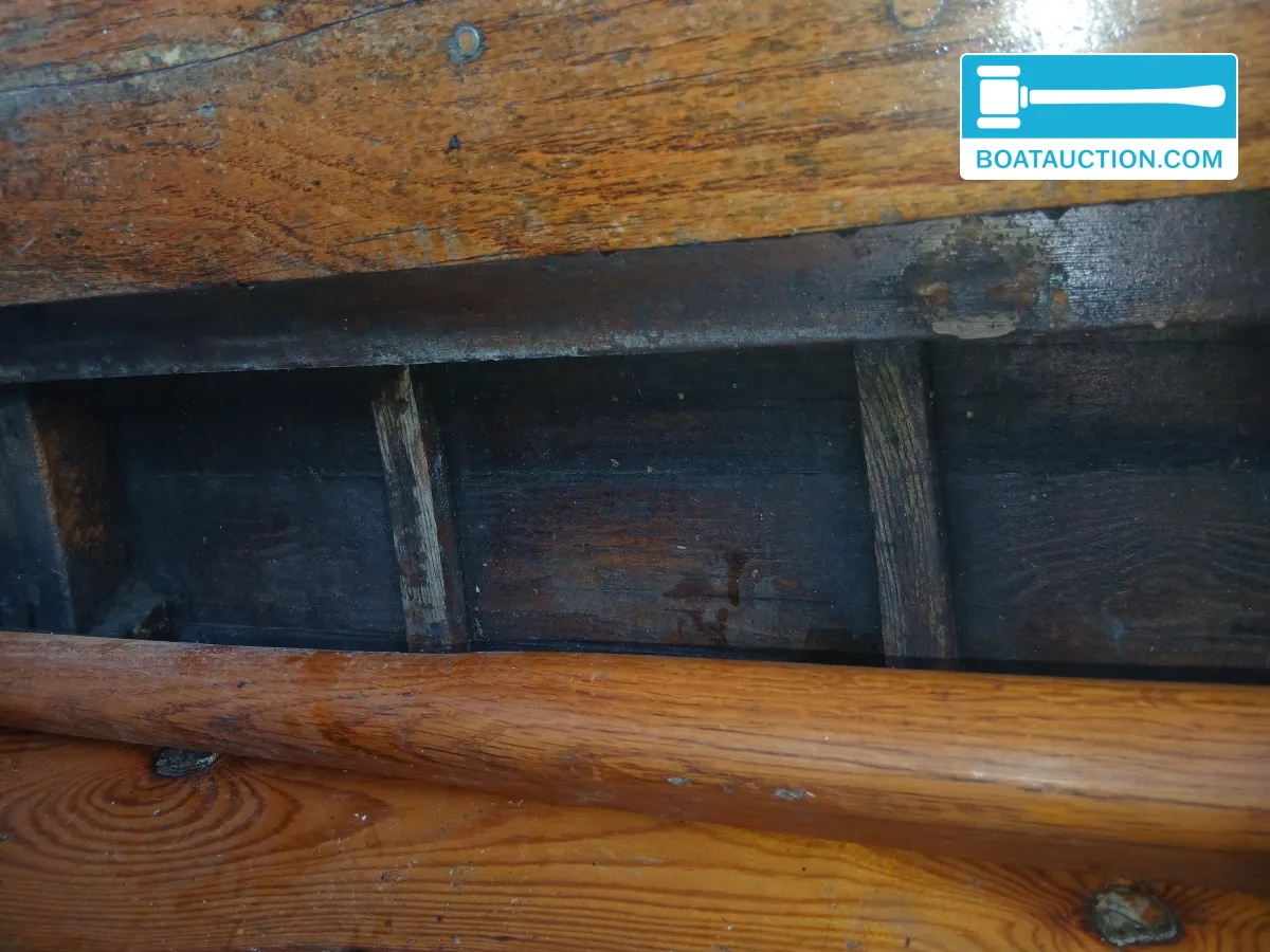 foto: 7 Noorse Spitsgatter 720