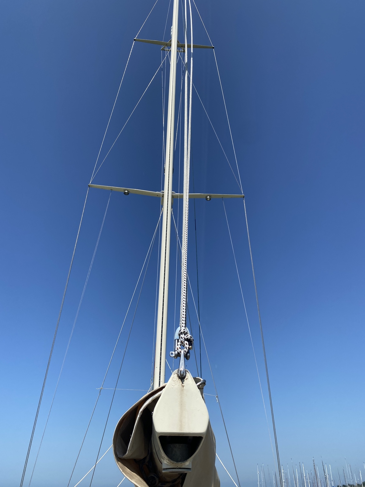 foto: 65 Puffin 42 Alu