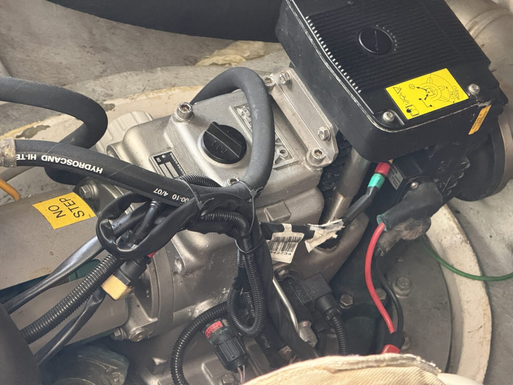 foto: 29 Rodman Rodman 44 Muse