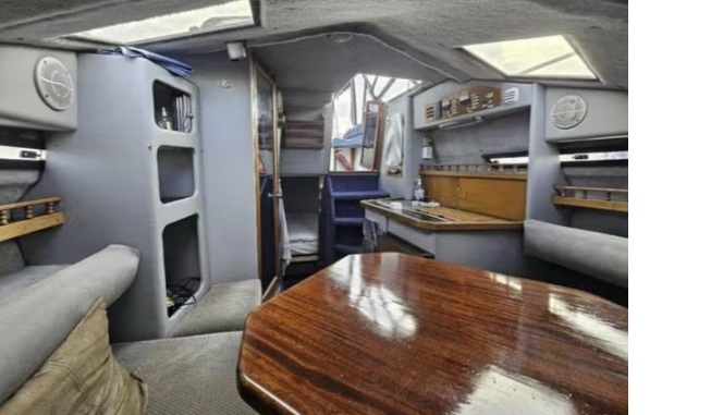 foto: 5 Freedom 260SL Speedcruiser