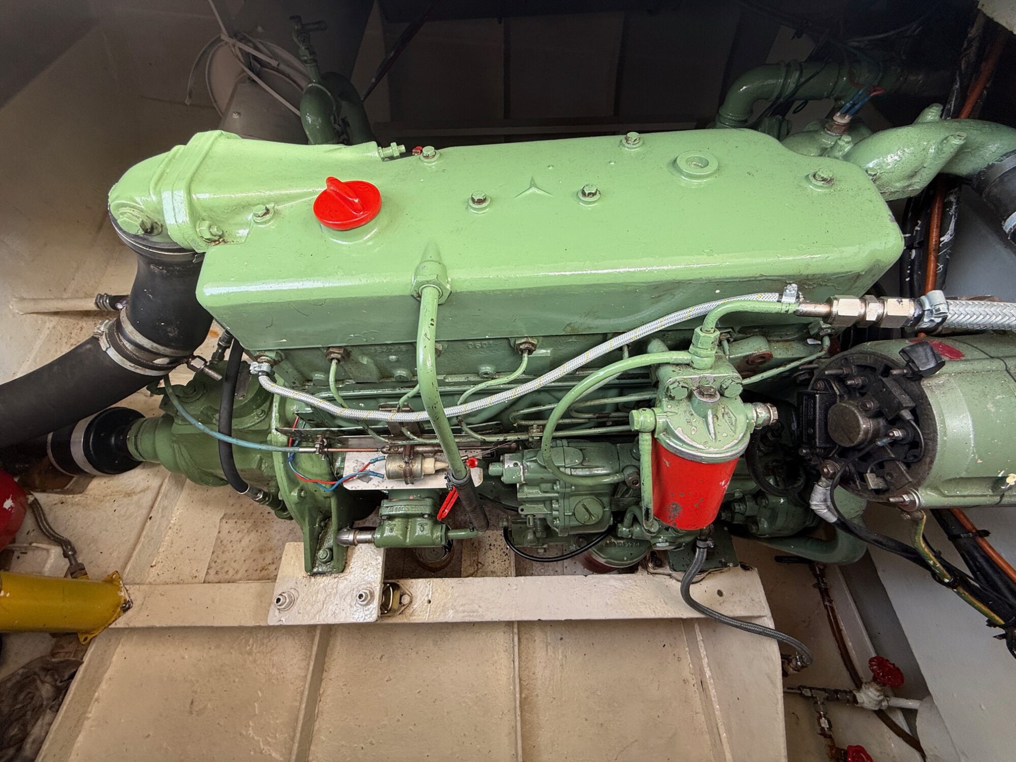 foto: 15 Damen Damen Vlet 12.00 OK