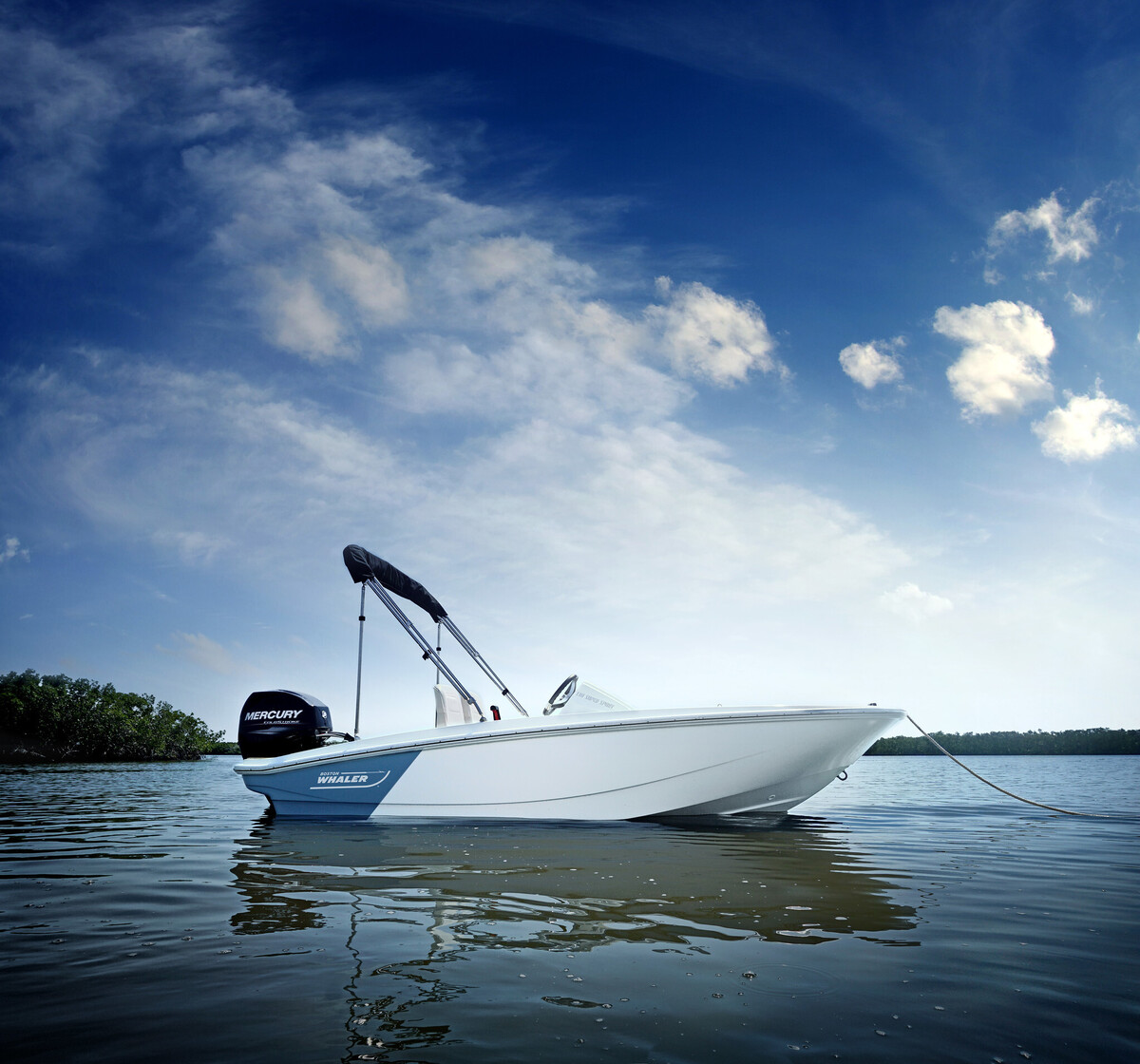 foto: 4 Boston Whaler 130 Super Sport