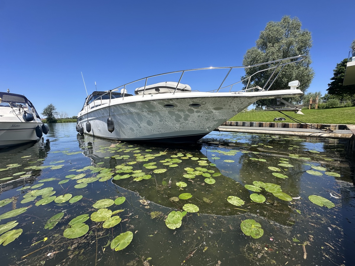 foto: 25 Sea Ray  500
