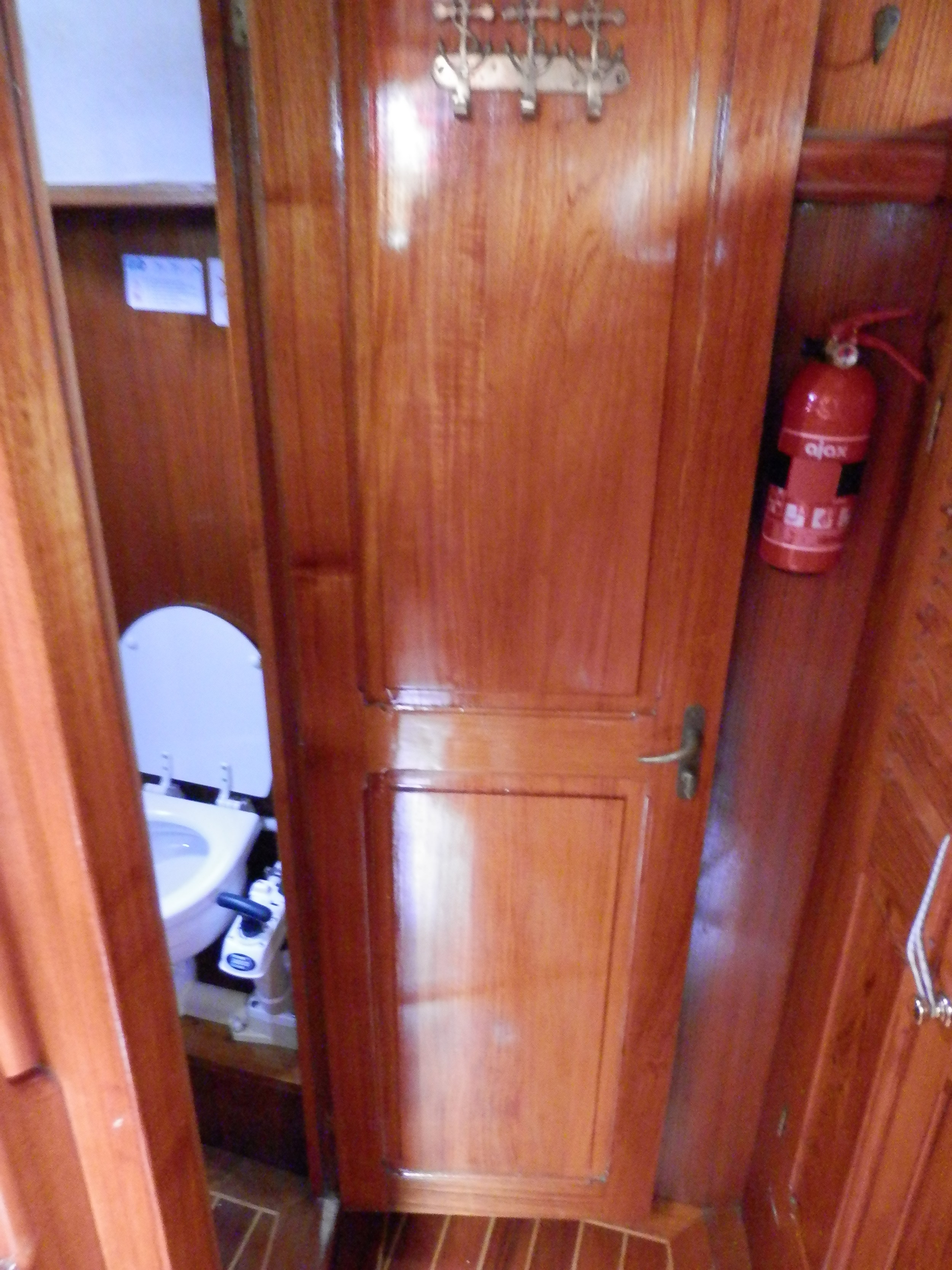 foto: 31 Danish Rose 31