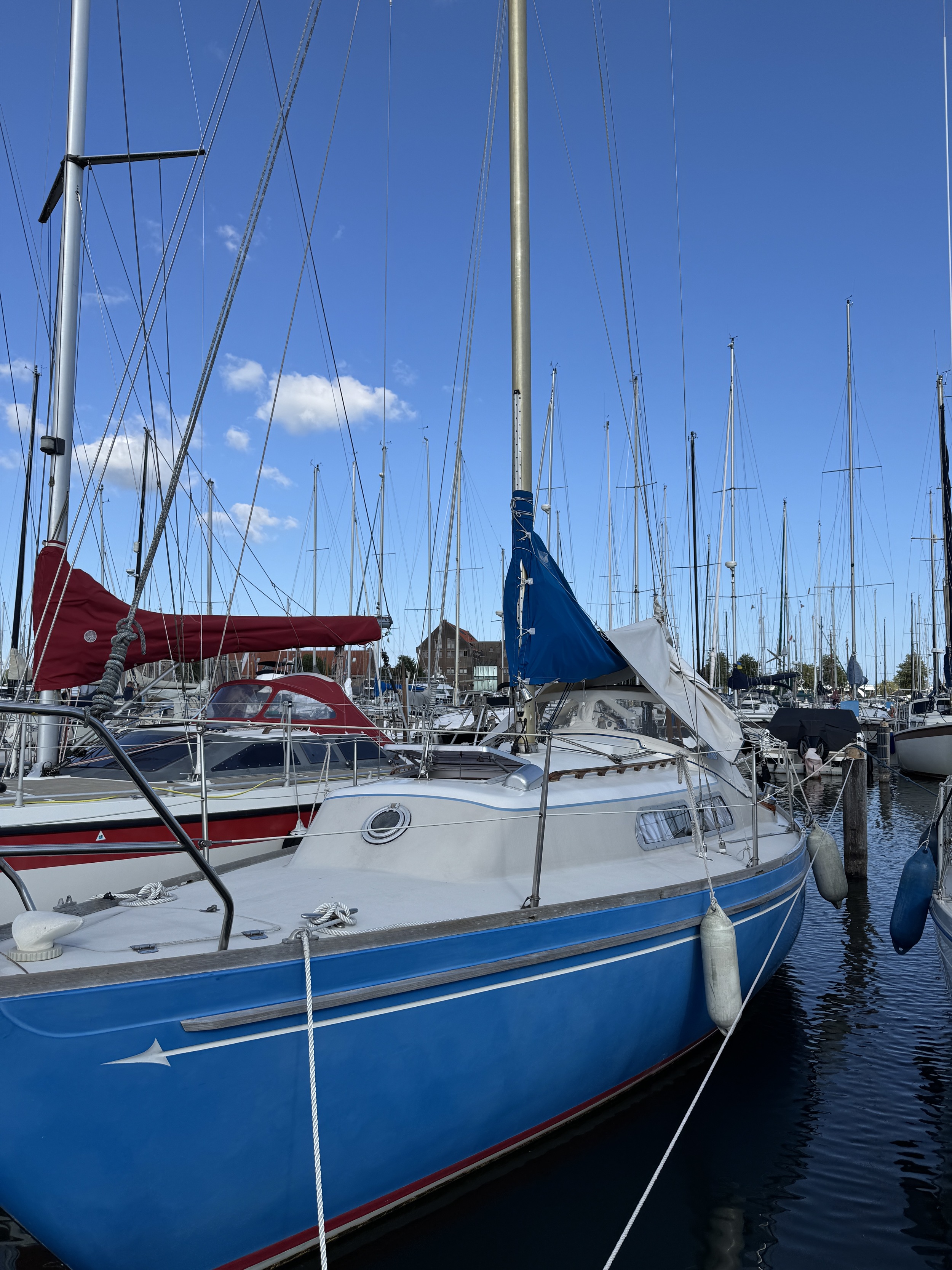 foto: 31 Spirit 28