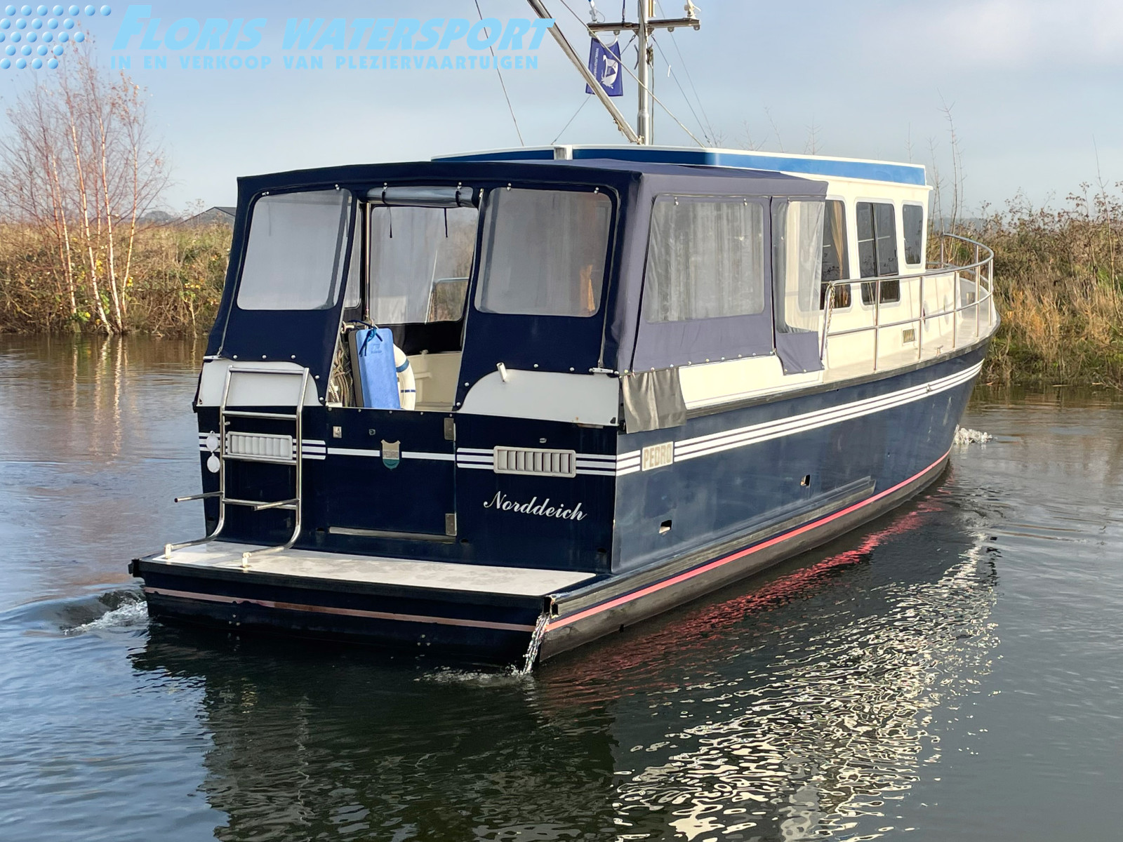 foto: 16 Pedro Donky 36