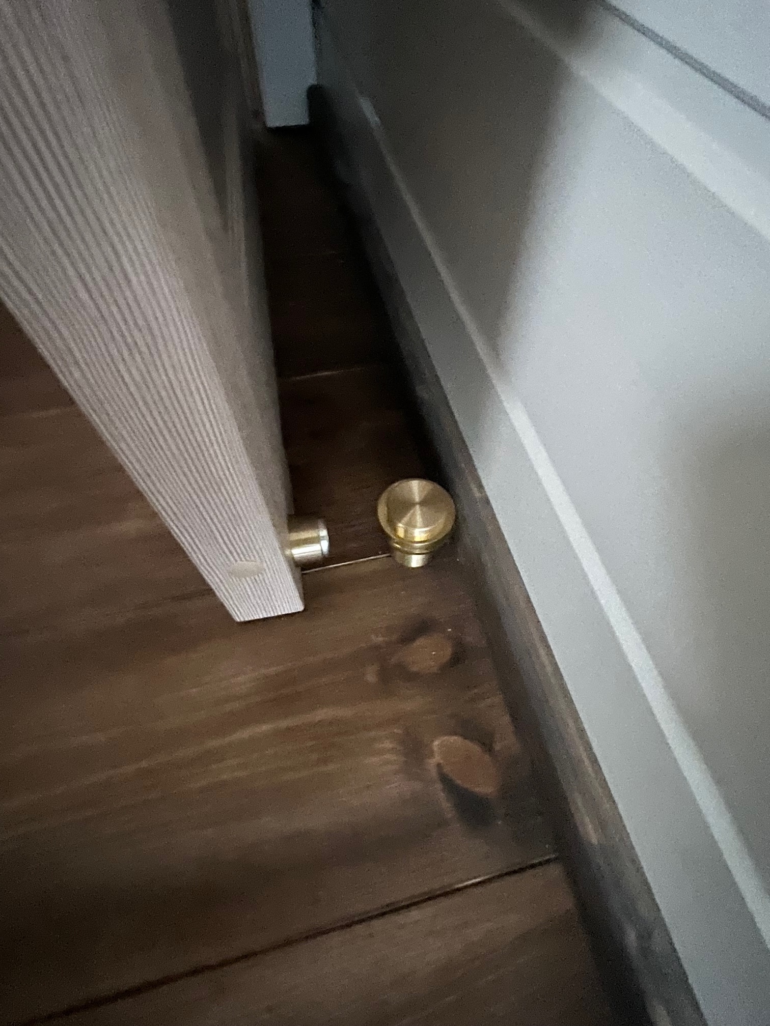 foto: 57 Nordic Season NS 40 Eco 36m2 Houseboat