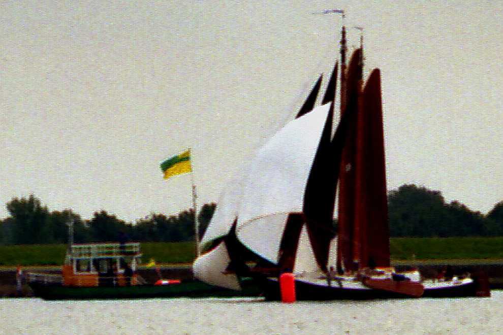 foto: 26 Blom Lemsteraak 12.10 Roefaak