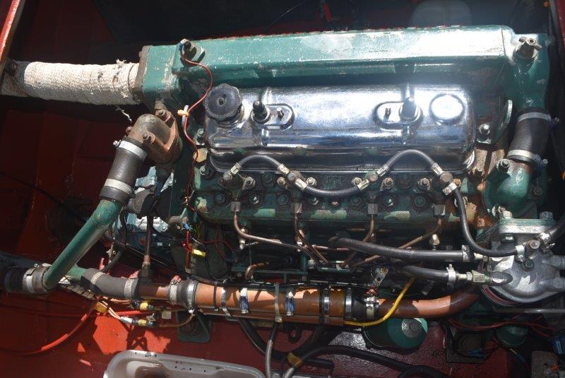 foto: 50 Blom Lemsteraak 10.10