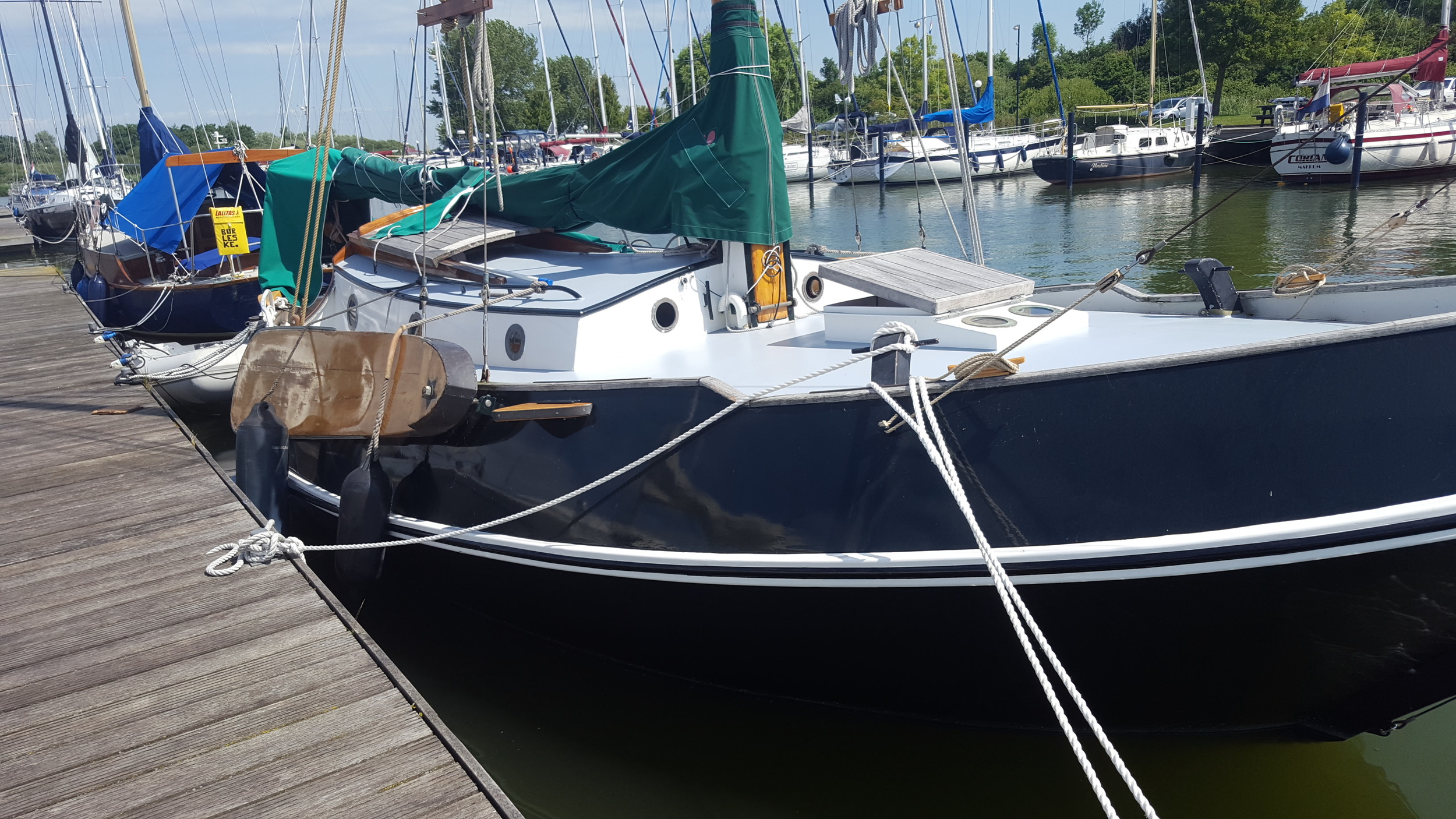 foto: 33 Vredenburgh Schokker 984