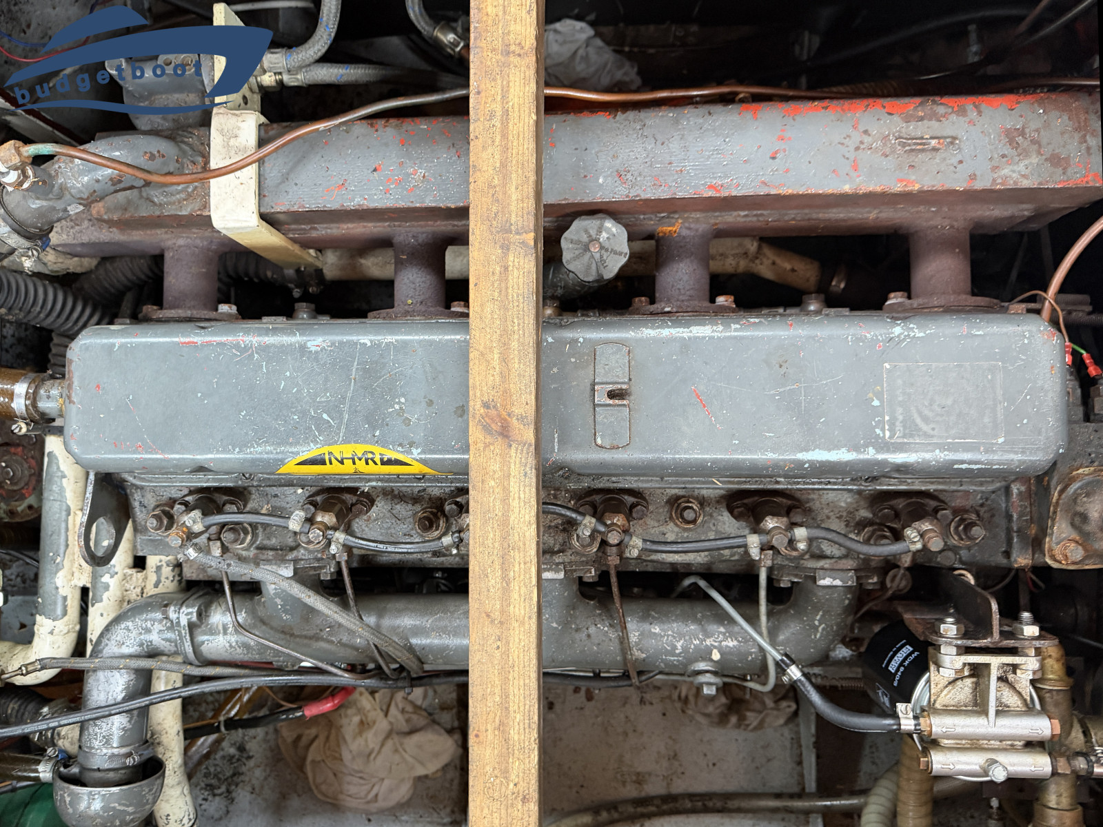 foto: 12 Kokernoot kotter 12.50