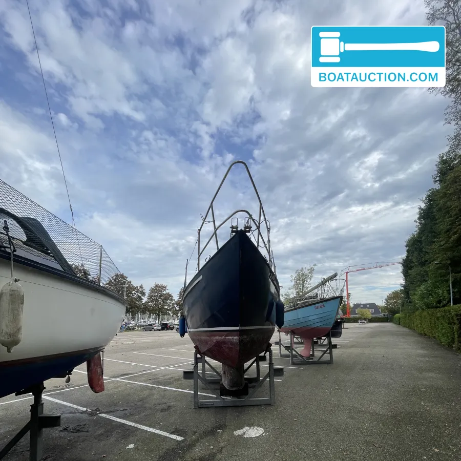 foto: 31 Friesland 860