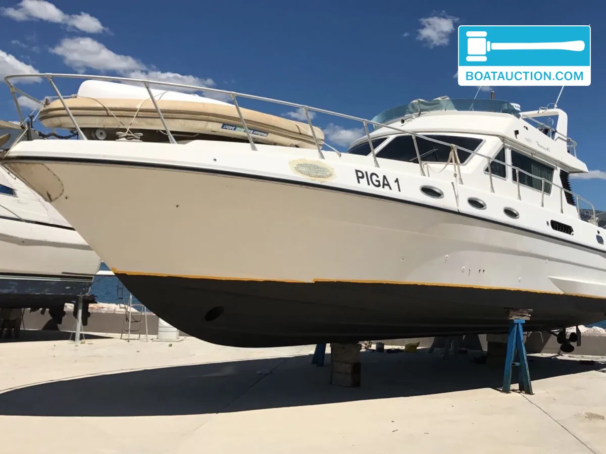 foto: 20 Piantoni 13 Fantasy