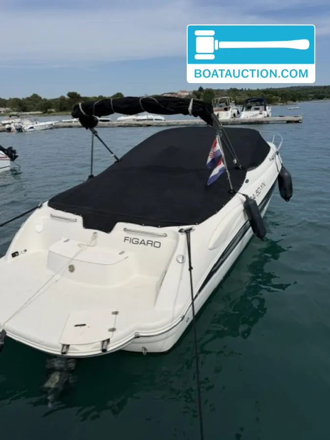 foto: 24 Stingray 250CR