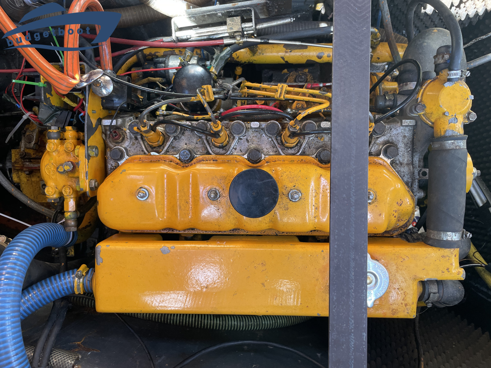 foto: 10 Van De Dijk  960
