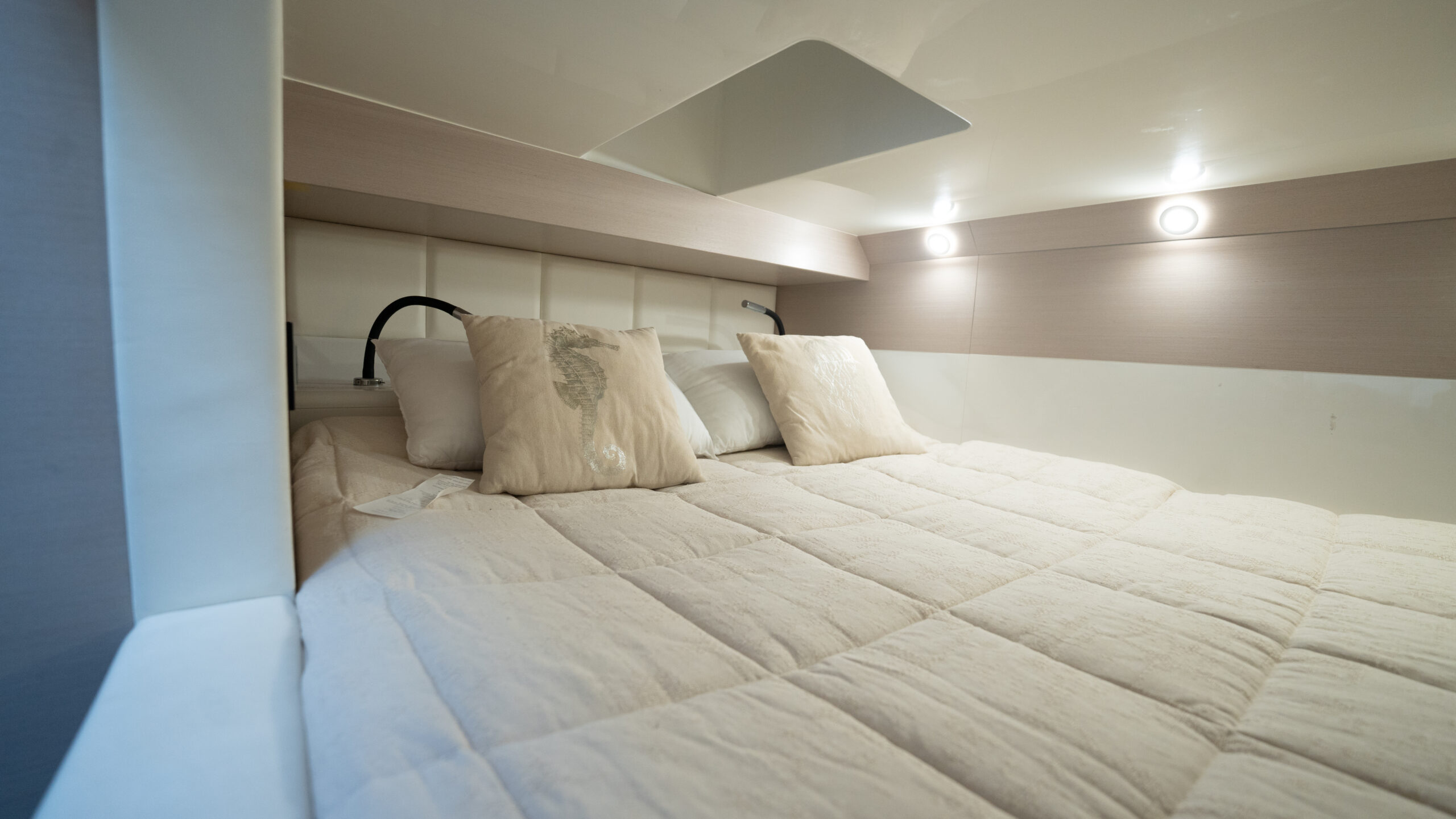 foto: 39 Sacs Rebel 40