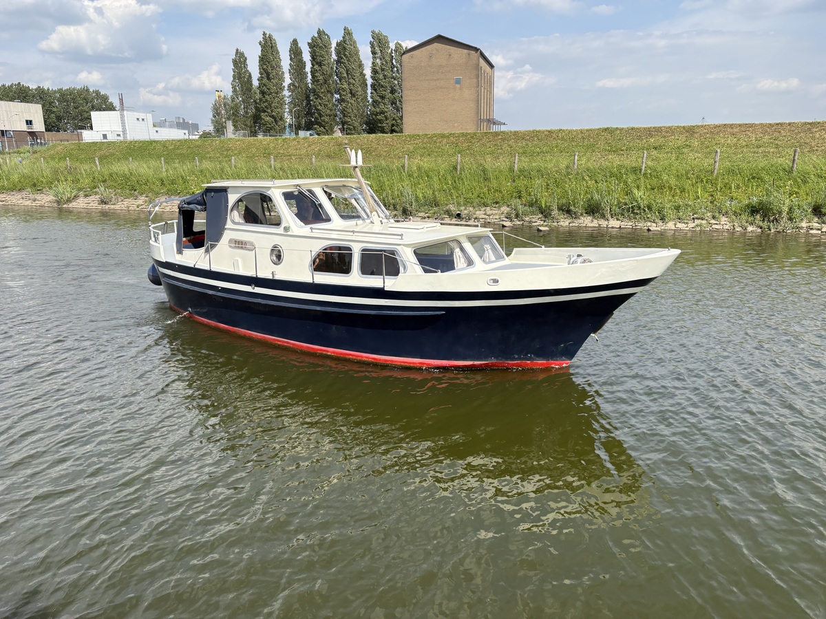 foto: 12 Oostvaarder 900 OK/AK