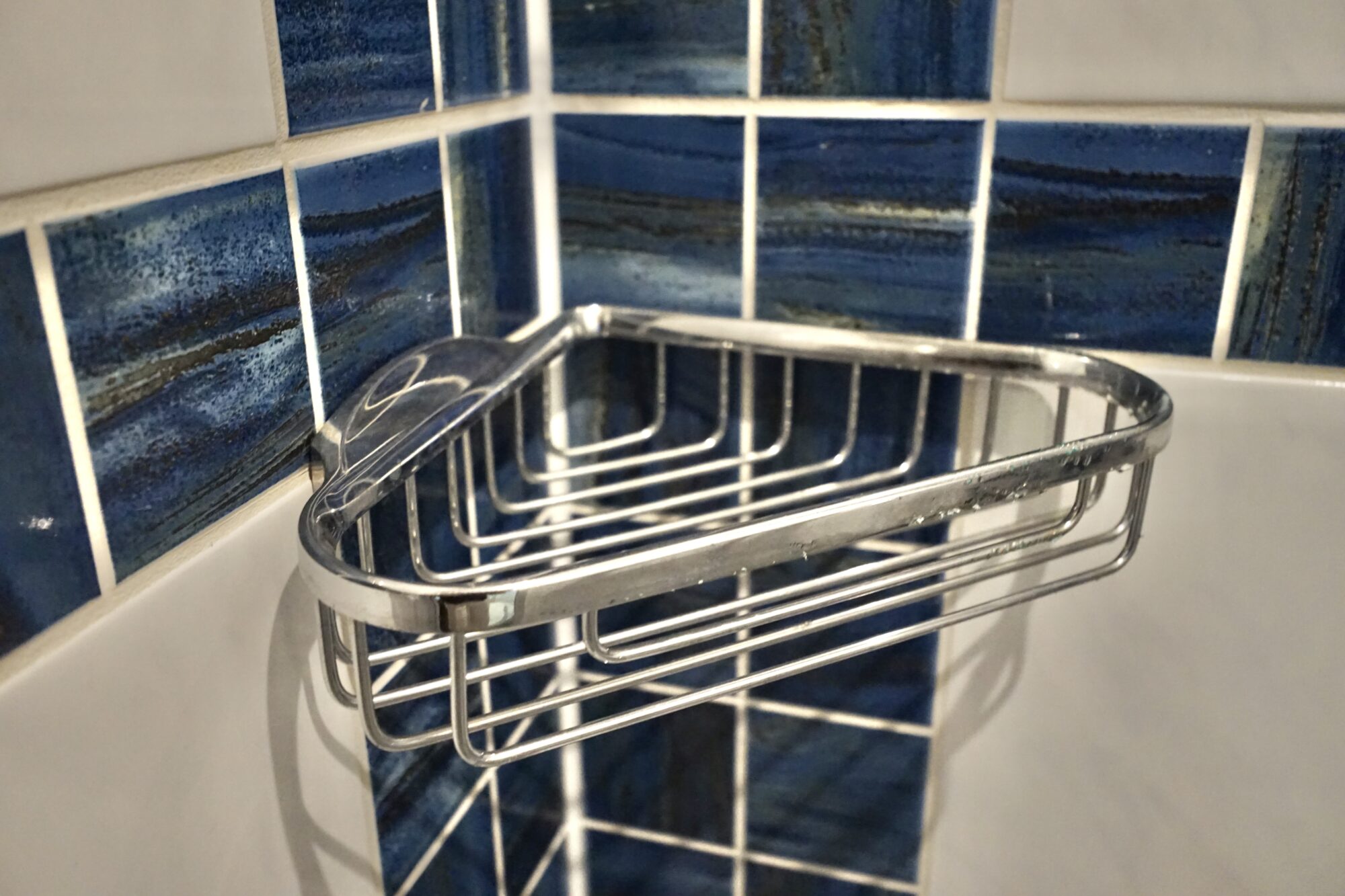 foto: 57 Van der Heijden Van der Heijden 17.00 Dynamic Deluxe VS