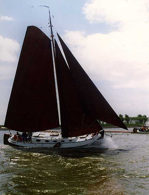 foto: 27 Blom Lemsteraak 12.10 Roefaak