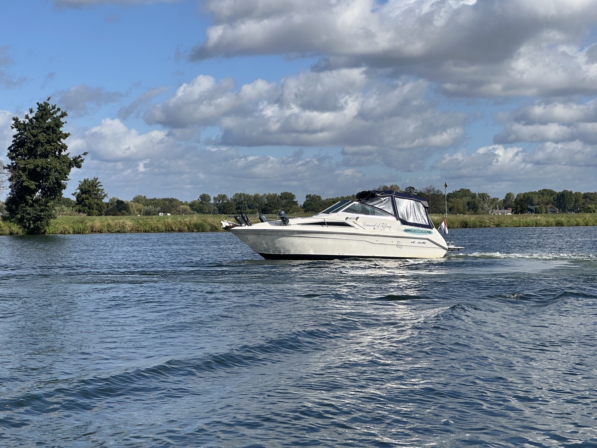 foto: 16 Sea Ray 220DA
