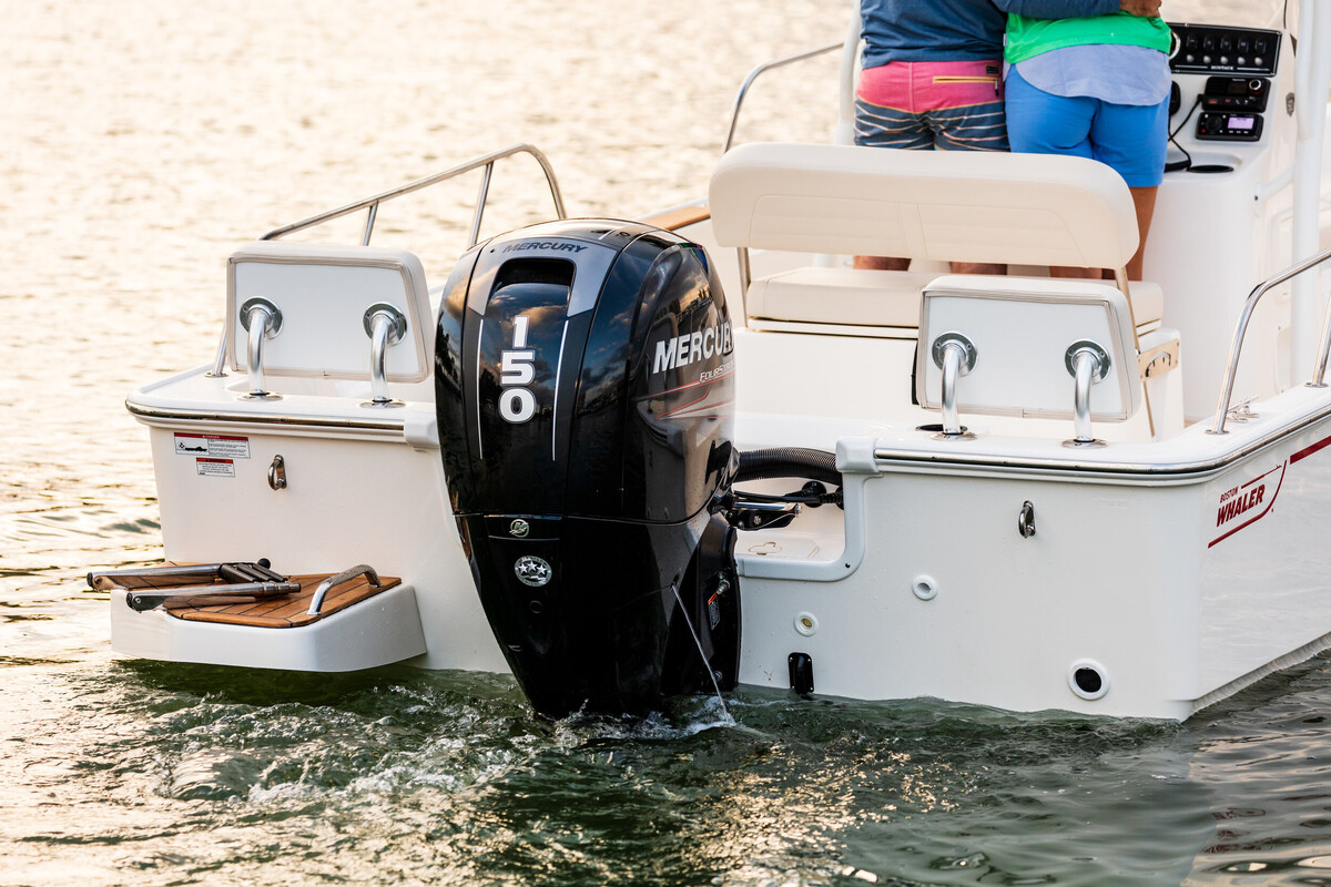 foto: 24 Boston Whaler 190 Montauk