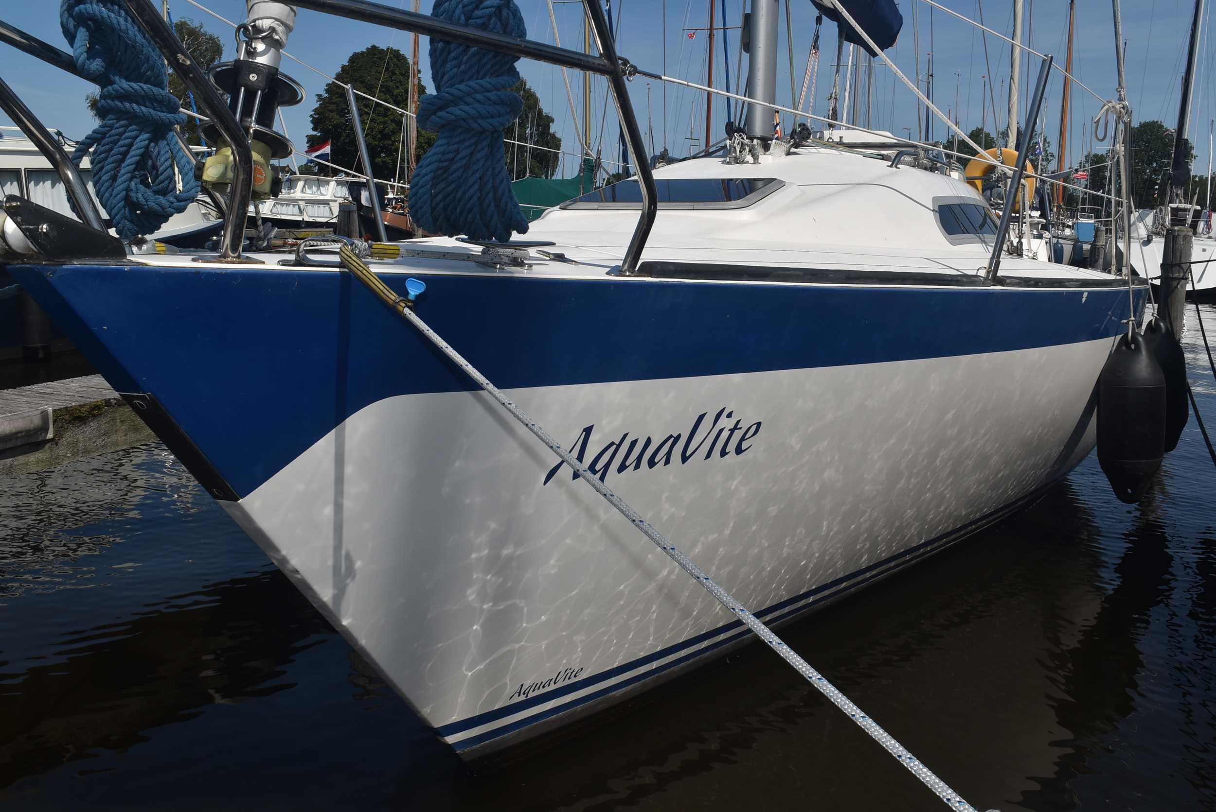 foto: 38 Aquavite 26 