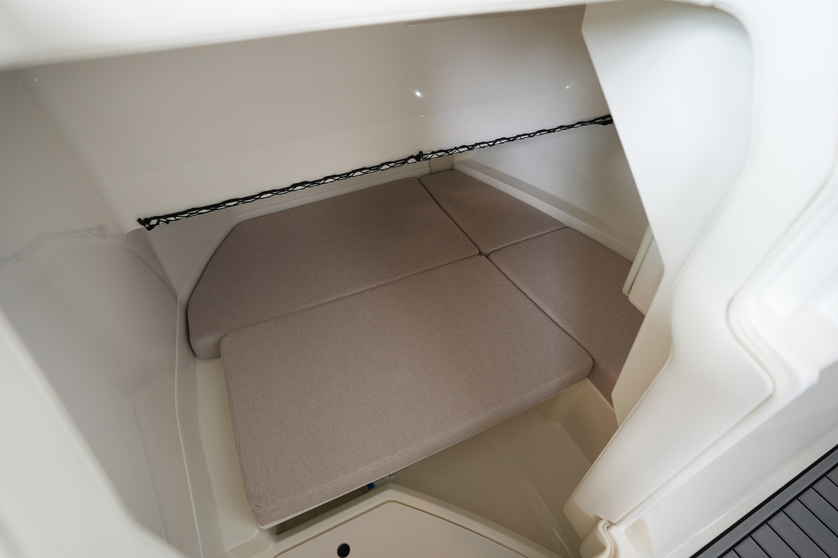foto: 116 Sea Ray SDX 250
