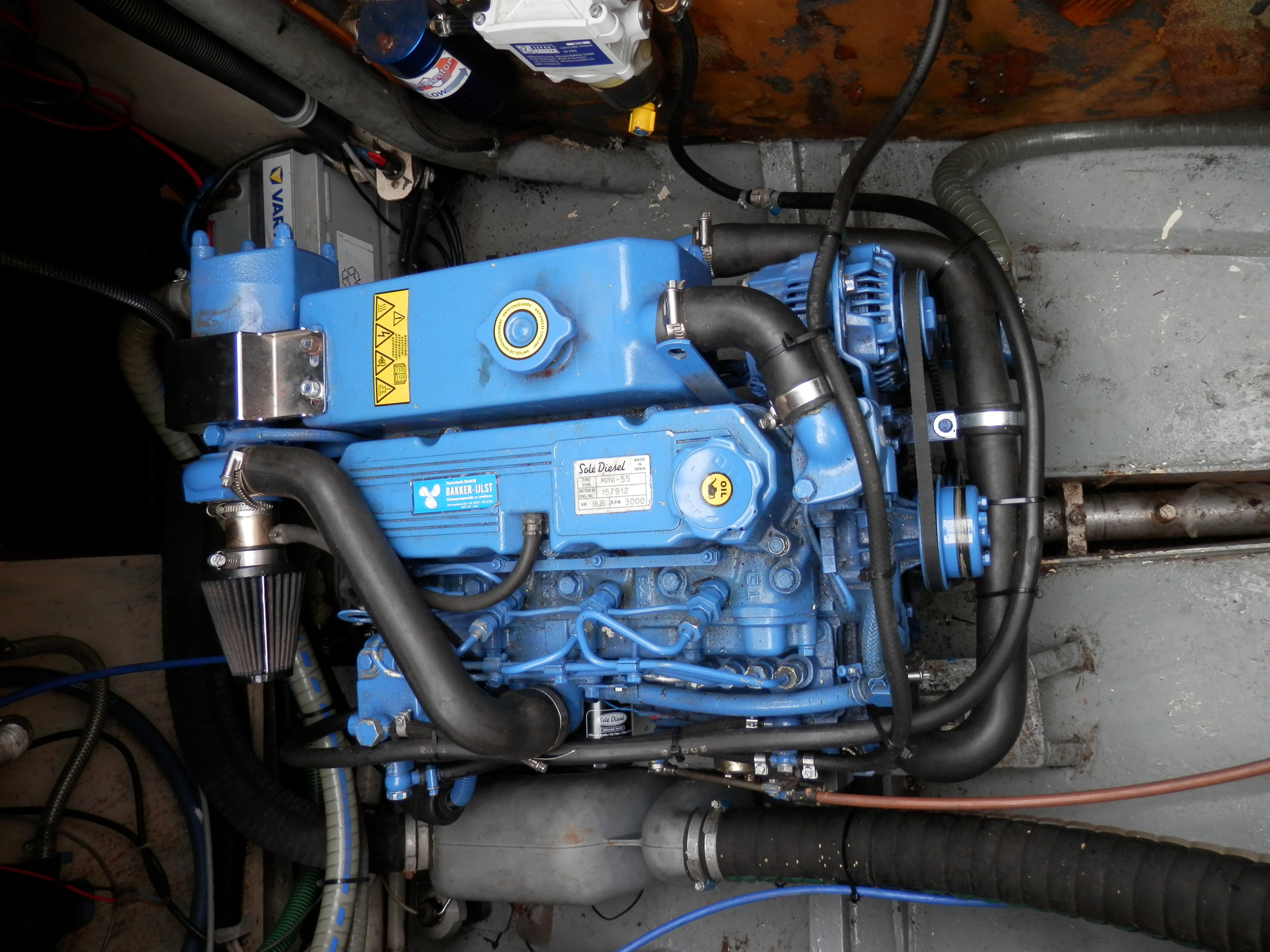 foto: 33 Danish Rose 31