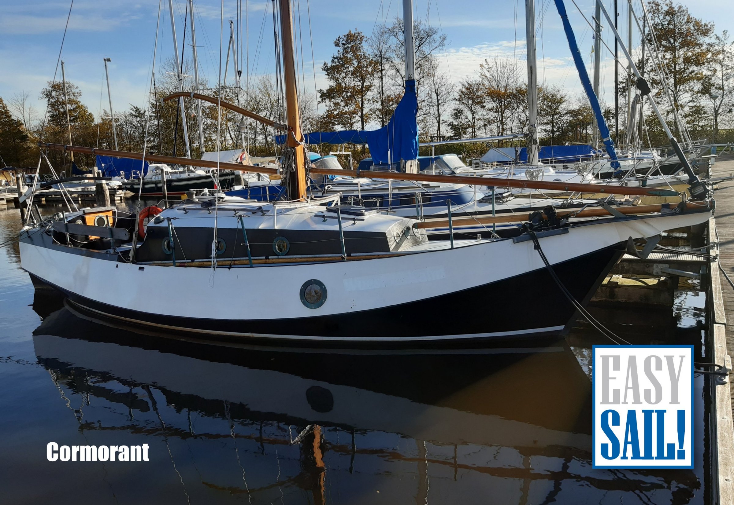 Cormorant 920