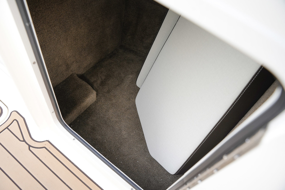 foto: 30 Sea Ray SDX 290 Outboard