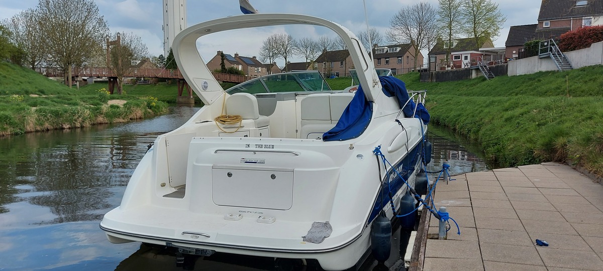 foto: 24 Bayliner 305