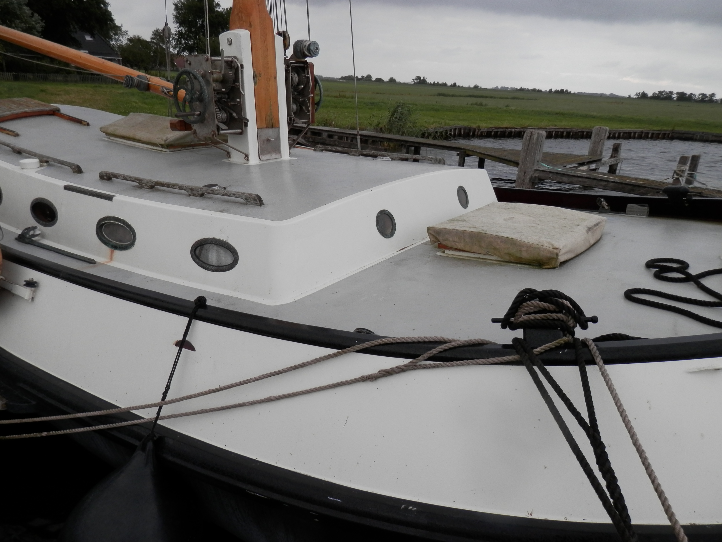 foto: 18 Blom Lemsteraak 12.10 Roefaak