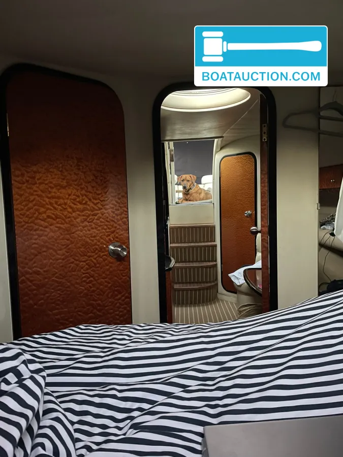 foto: 9 Princess V39