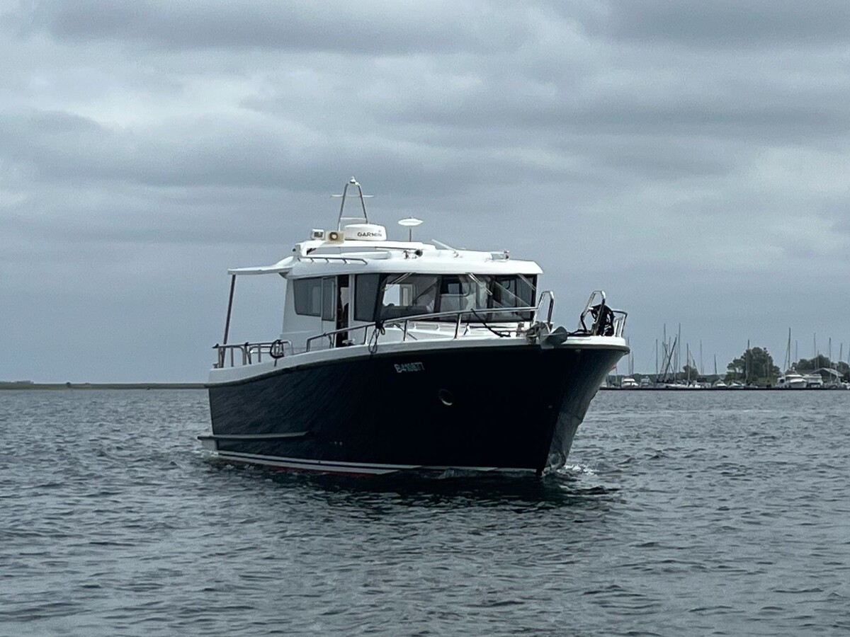 foto: 28 Sargo 36