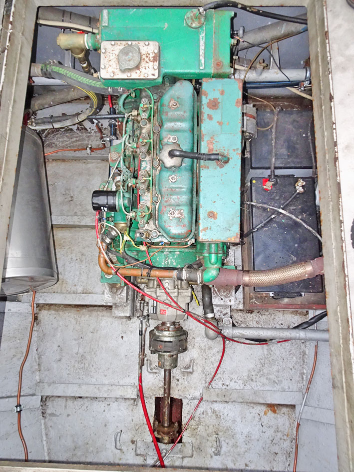 foto: 24 Hoogaars 13.70