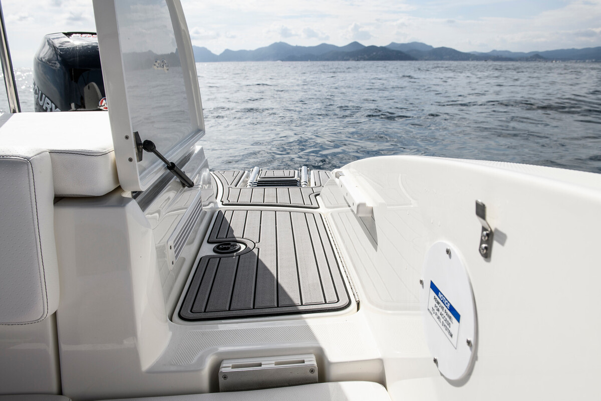 foto: 12 Sea Ray SPX 210 Outboard