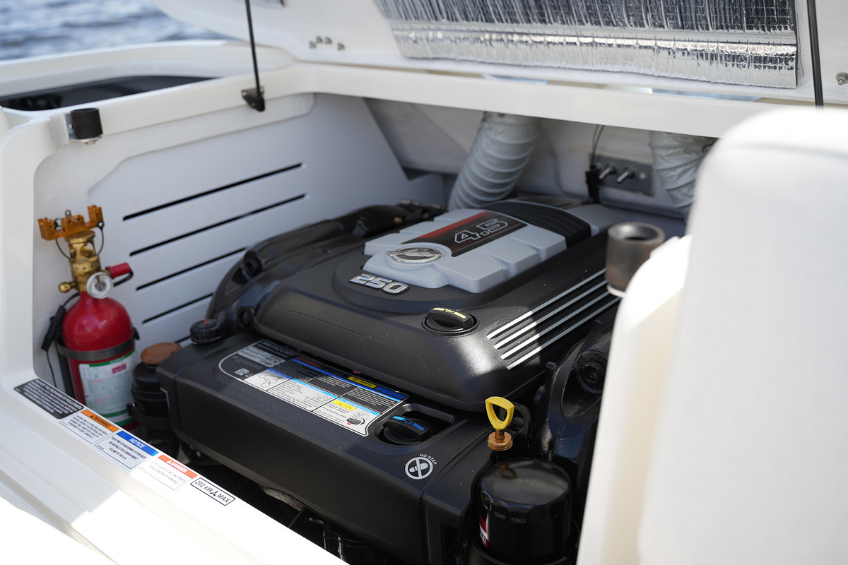 foto: 31 Sea Ray 210