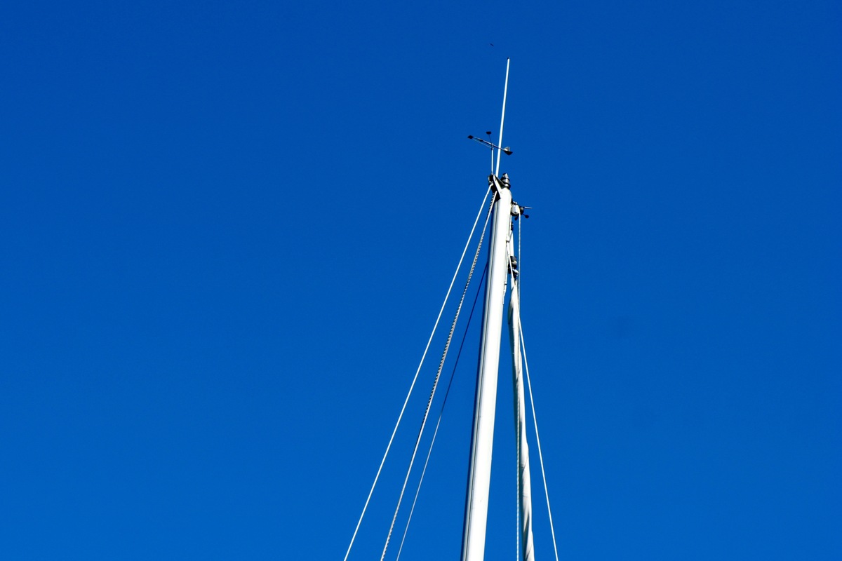foto: 79 Spirit 37